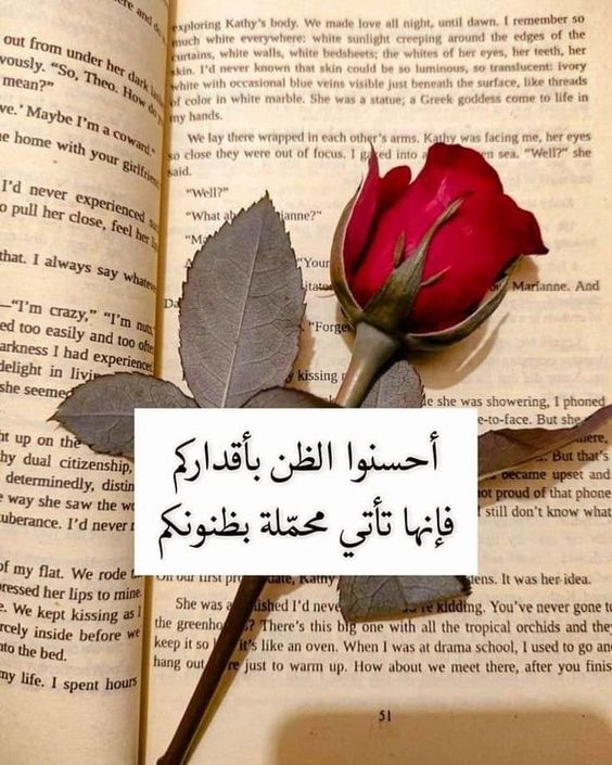 100 عبارات جميلة عن الحياة مميزة 6 عبارات جميلة عن الحياة